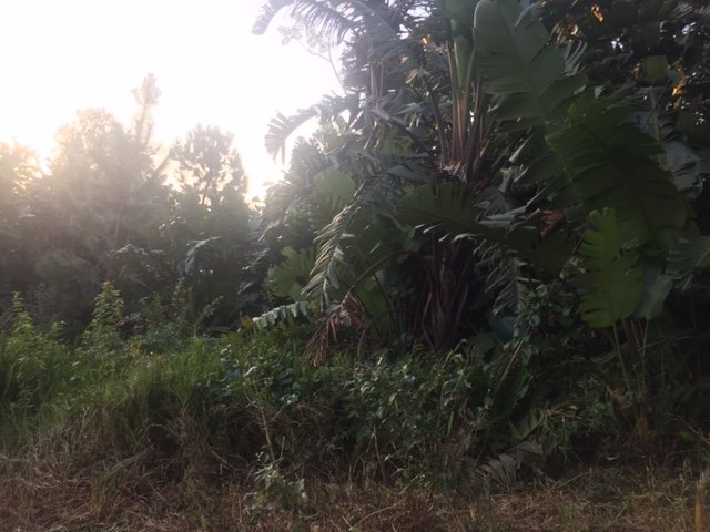 Commercial Property for Sale in Southbroom KwaZulu-Natal