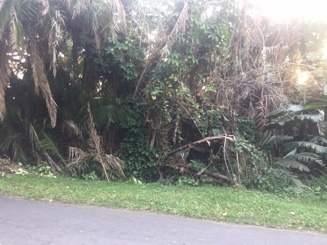 Commercial Property for Sale in Southbroom KwaZulu-Natal