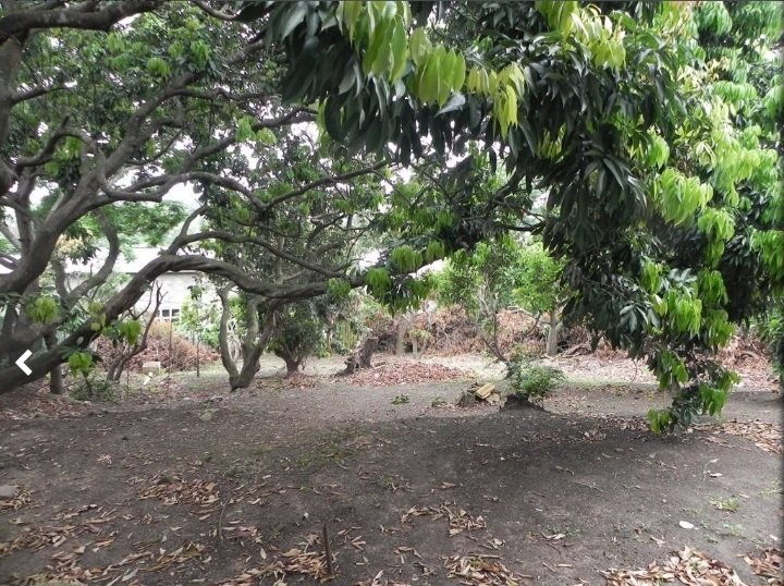 5 Bedroom Property for Sale in Lotusville KwaZulu-Natal