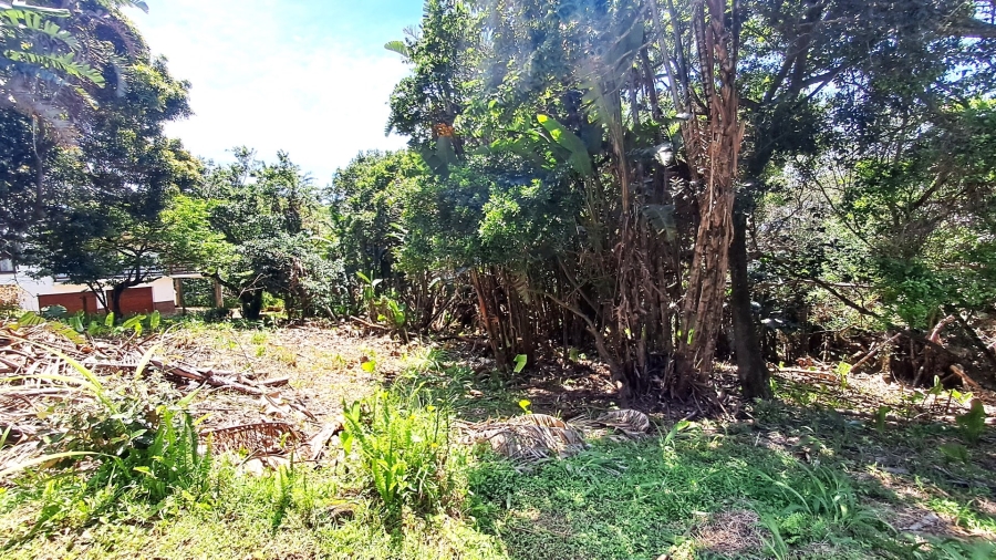 Commercial Property for Sale in Leisure Bay KwaZulu-Natal