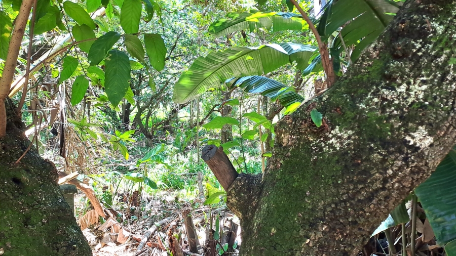 Commercial Property for Sale in Leisure Bay KwaZulu-Natal