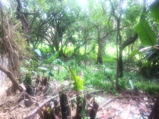 Commercial Property for Sale in Leisure Bay KwaZulu-Natal