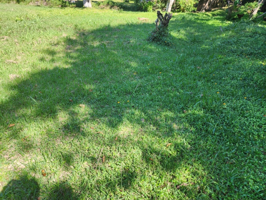 Commercial Property for Sale in Sea Park KwaZulu-Natal
