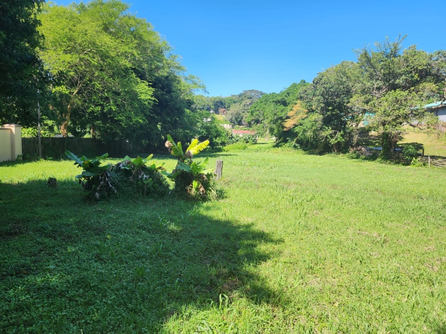Commercial Property for Sale in Sea Park KwaZulu-Natal