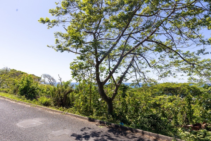 Commercial Property for Sale in Oslo Beach KwaZulu-Natal