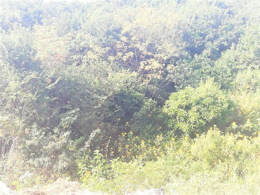 Commercial Property for Sale in Marburg KwaZulu-Natal