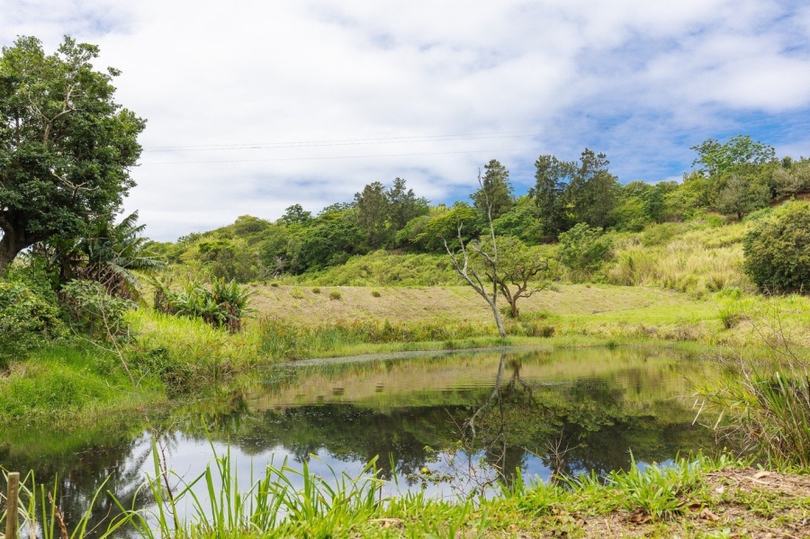 Commercial Property for Sale in Southport KwaZulu-Natal