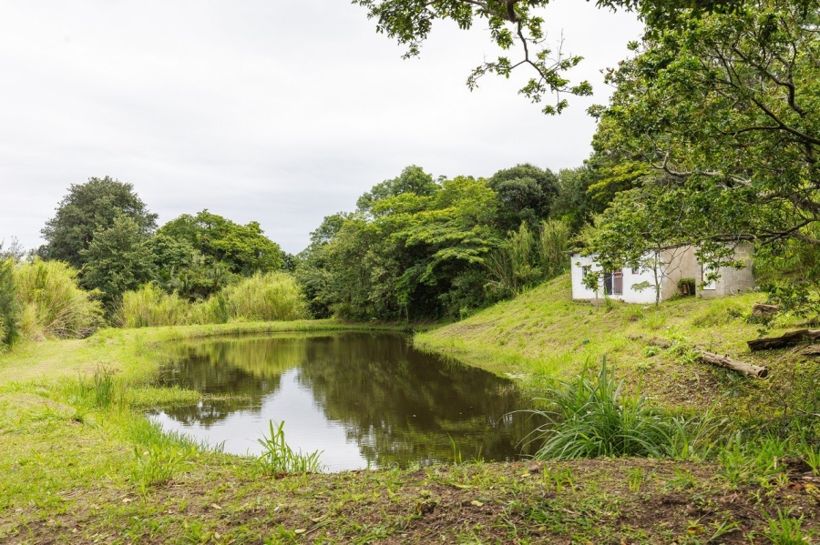 Commercial Property for Sale in Southport KwaZulu-Natal