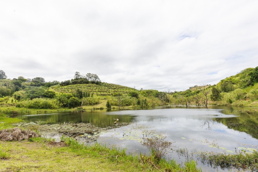 Commercial Property for Sale in Southport KwaZulu-Natal