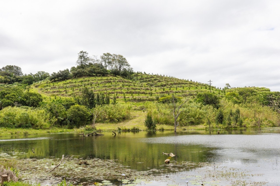 Commercial Property for Sale in Southport KwaZulu-Natal