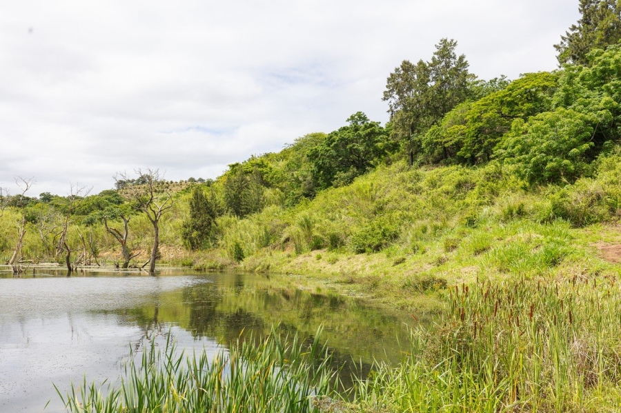 Commercial Property for Sale in Southport KwaZulu-Natal