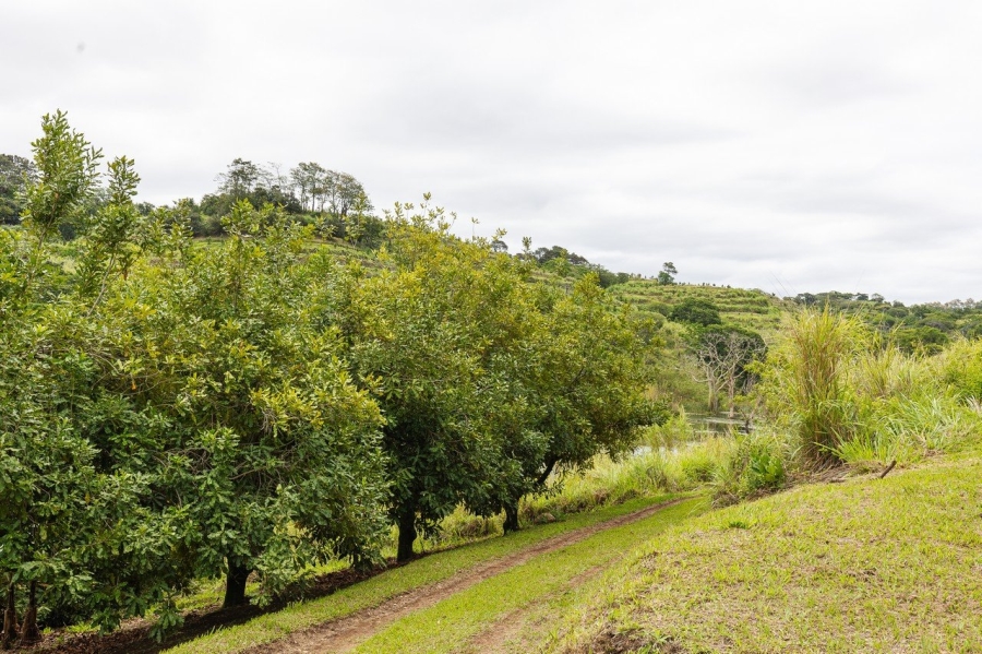 Commercial Property for Sale in Southport KwaZulu-Natal