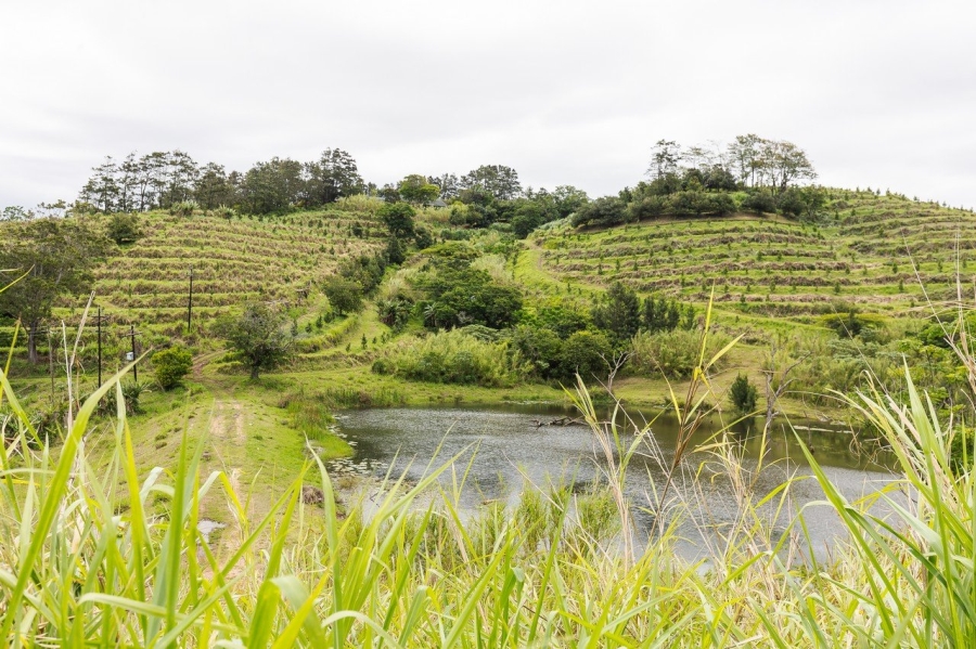 Commercial Property for Sale in Southport KwaZulu-Natal