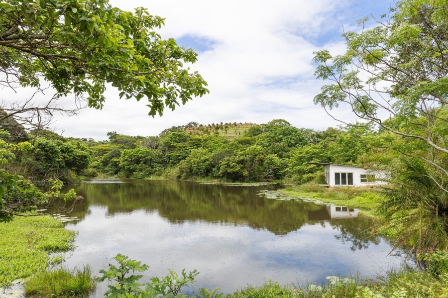 Commercial Property for Sale in Southport KwaZulu-Natal