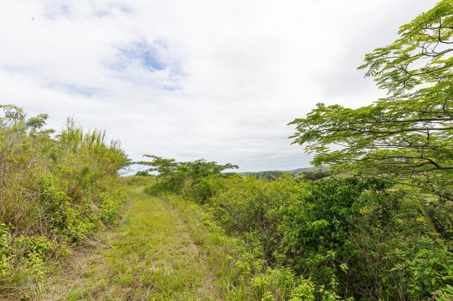 Commercial Property for Sale in Southport KwaZulu-Natal