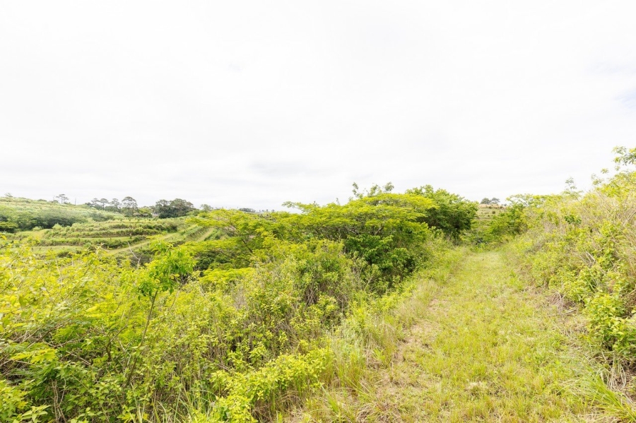 Commercial Property for Sale in Southport KwaZulu-Natal