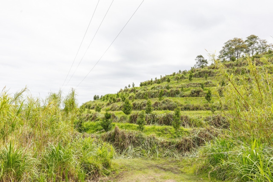 Commercial Property for Sale in Southport KwaZulu-Natal