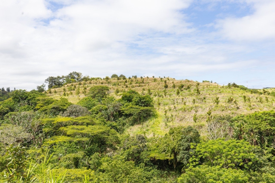 Commercial Property for Sale in Southport KwaZulu-Natal