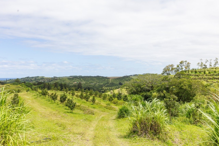 Commercial Property for Sale in Southport KwaZulu-Natal