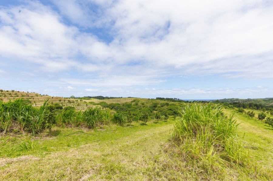 Commercial Property for Sale in Southport KwaZulu-Natal