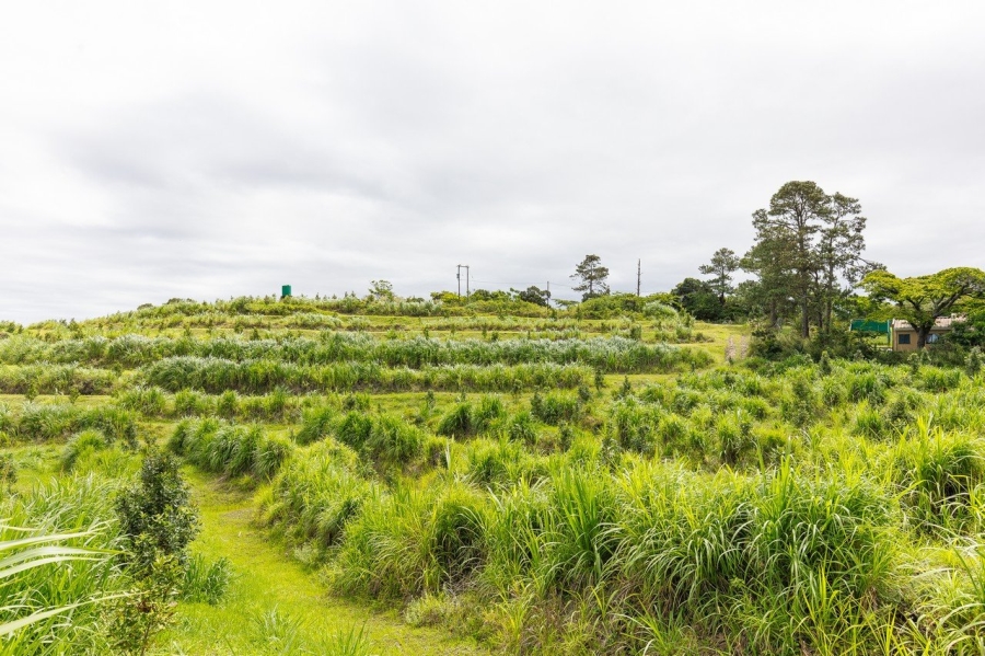 Commercial Property for Sale in Southport KwaZulu-Natal