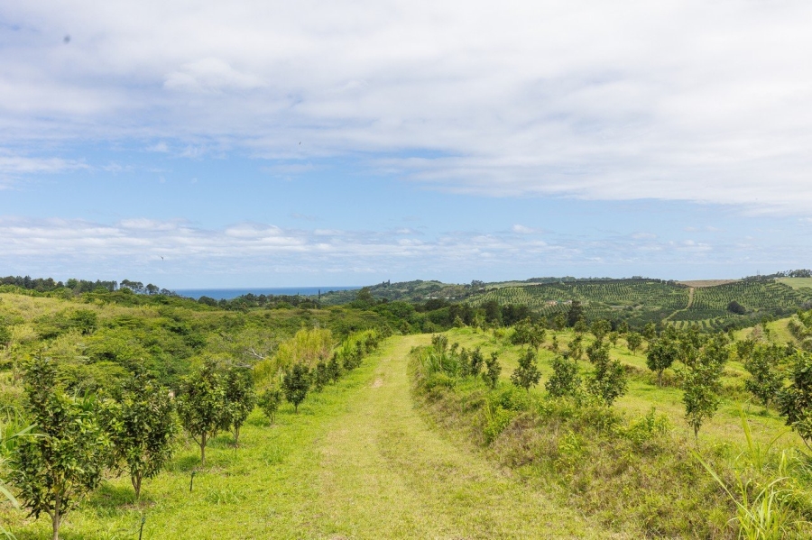 Commercial Property for Sale in Southport KwaZulu-Natal