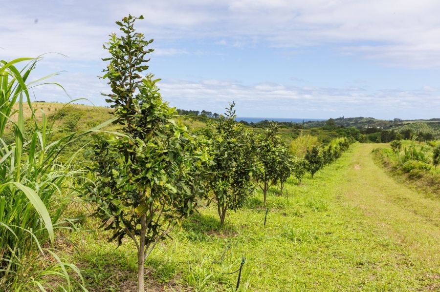 Commercial Property for Sale in Southport KwaZulu-Natal