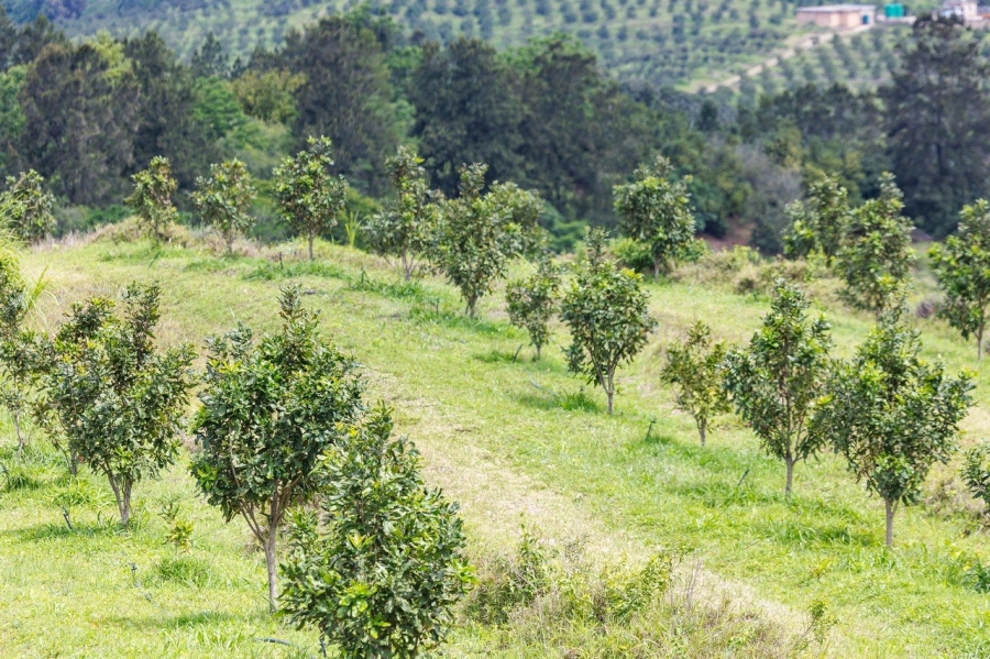 Commercial Property for Sale in Southport KwaZulu-Natal