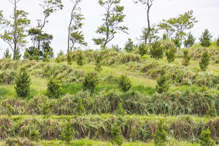 Commercial Property for Sale in Southport KwaZulu-Natal