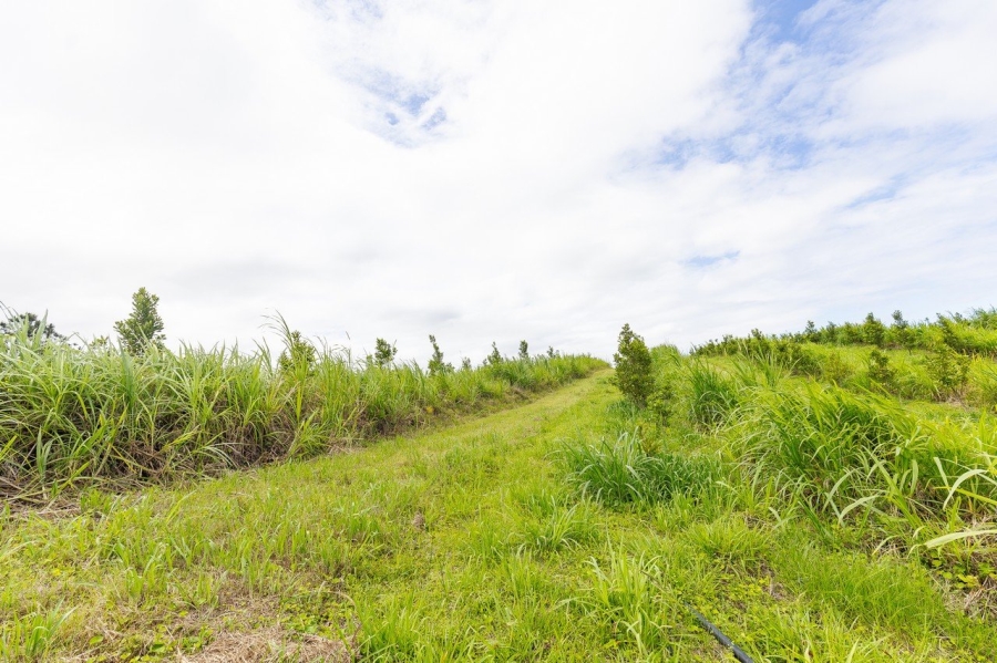 Commercial Property for Sale in Southport KwaZulu-Natal