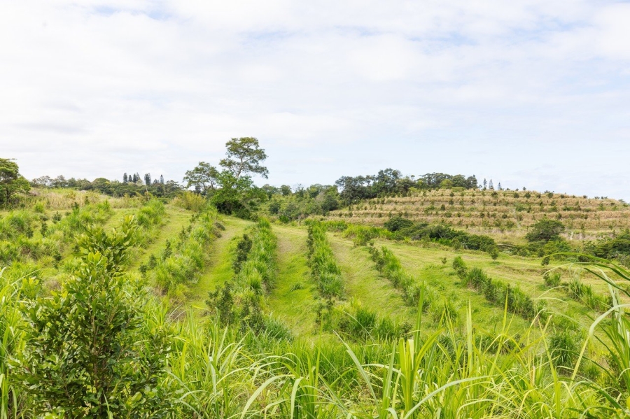 Commercial Property for Sale in Southport KwaZulu-Natal