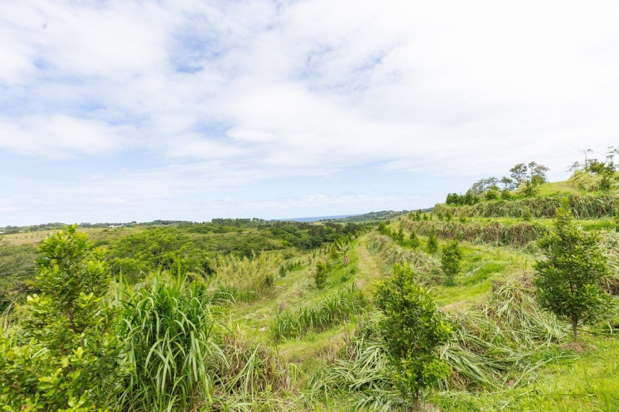 Commercial Property for Sale in Southport KwaZulu-Natal