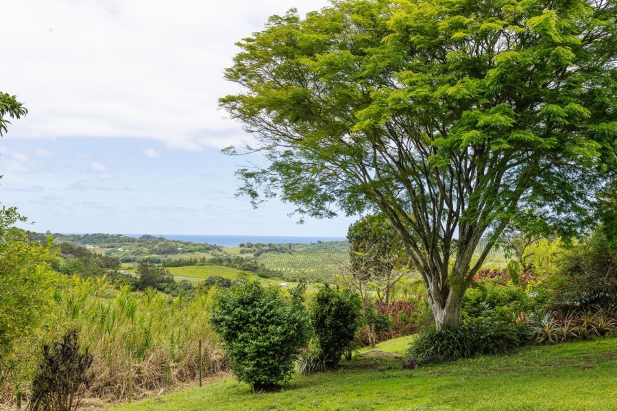 Commercial Property for Sale in Southport KwaZulu-Natal