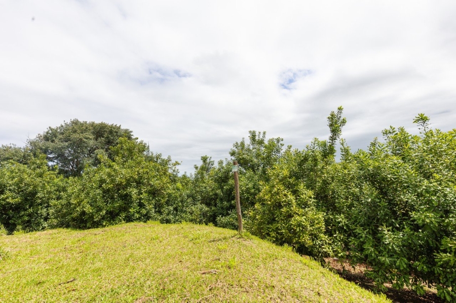 Commercial Property for Sale in Southport KwaZulu-Natal