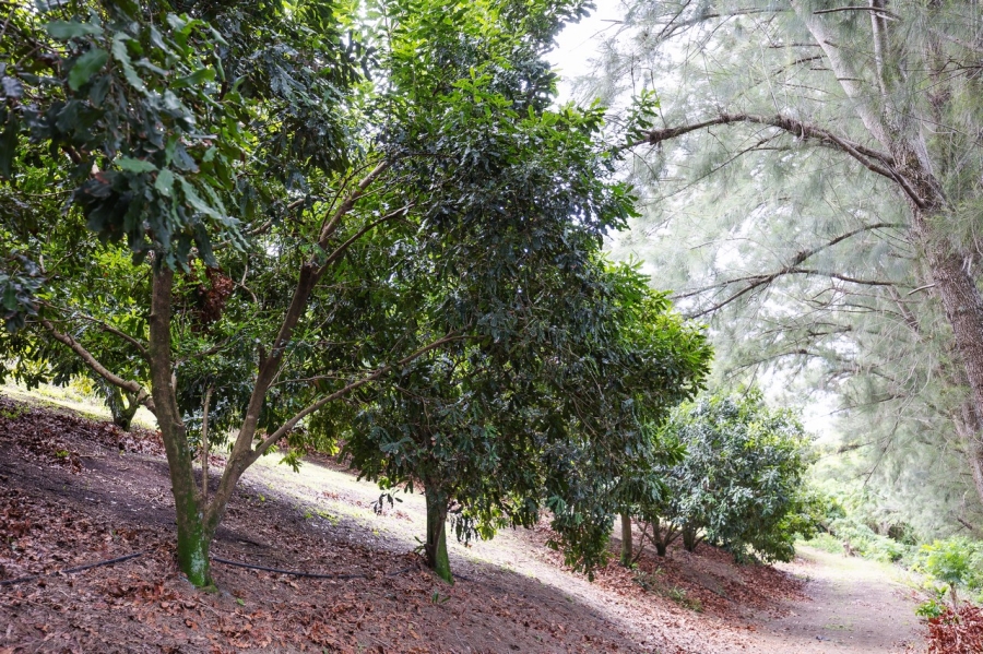 Commercial Property for Sale in Southport KwaZulu-Natal