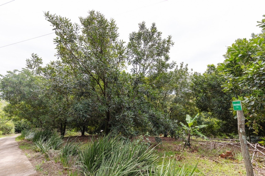 Commercial Property for Sale in Southport KwaZulu-Natal