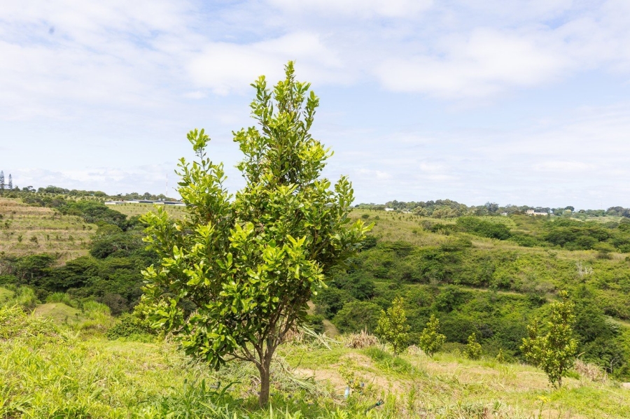 Commercial Property for Sale in Southport KwaZulu-Natal