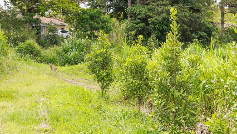 Commercial Property for Sale in Southport KwaZulu-Natal