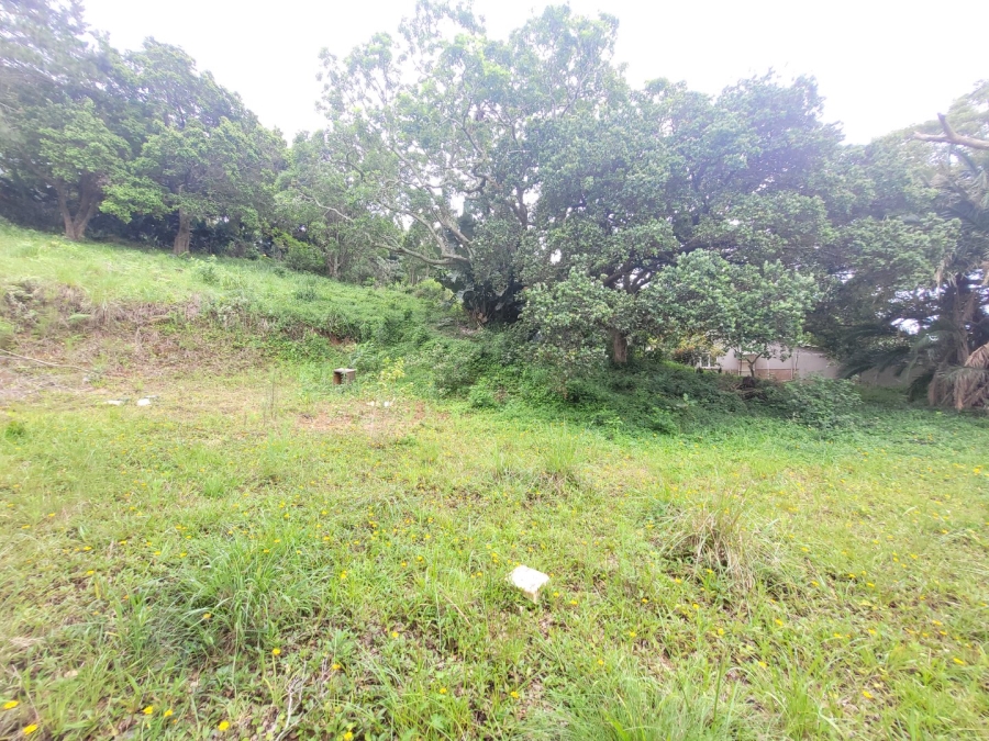 Commercial Property for Sale in Hibberdene KwaZulu-Natal