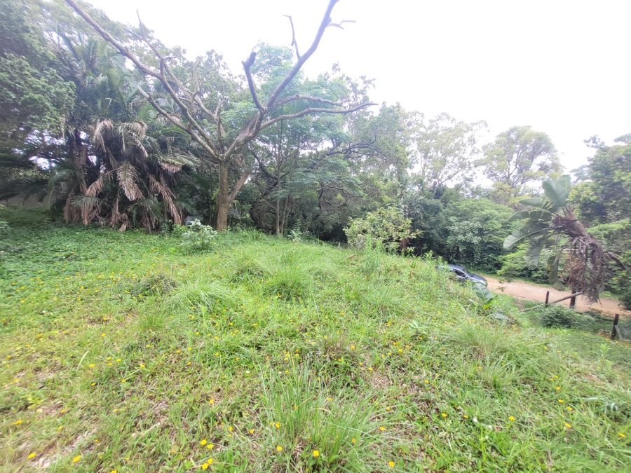 Commercial Property for Sale in Hibberdene KwaZulu-Natal