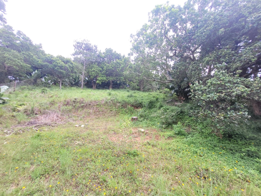 Commercial Property for Sale in Hibberdene KwaZulu-Natal