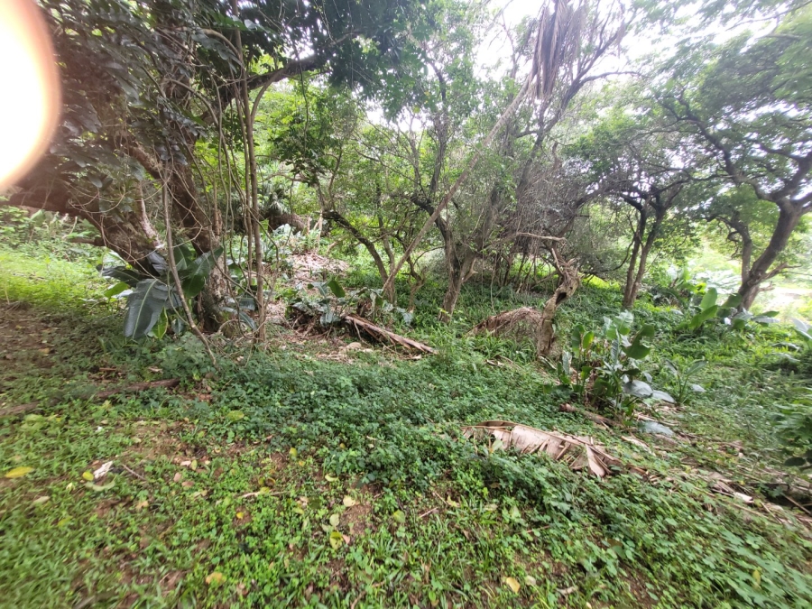 Commercial Property for Sale in Hibberdene KwaZulu-Natal