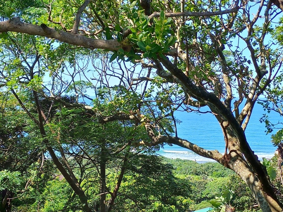 Commercial Property for Sale in Oslo Beach KwaZulu-Natal