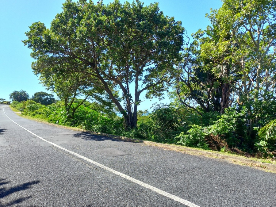 Commercial Property for Sale in Oslo Beach KwaZulu-Natal
