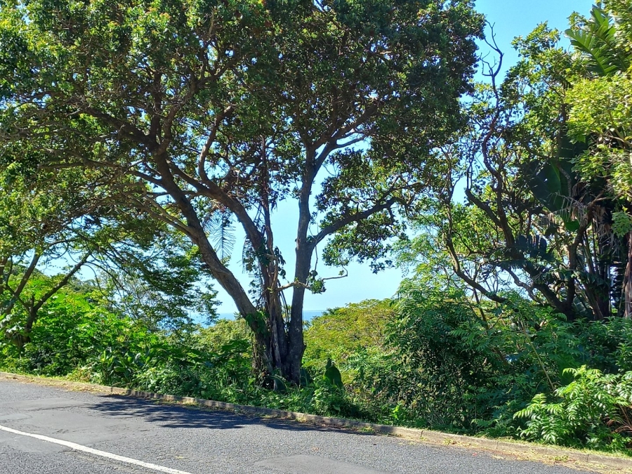 Commercial Property for Sale in Oslo Beach KwaZulu-Natal