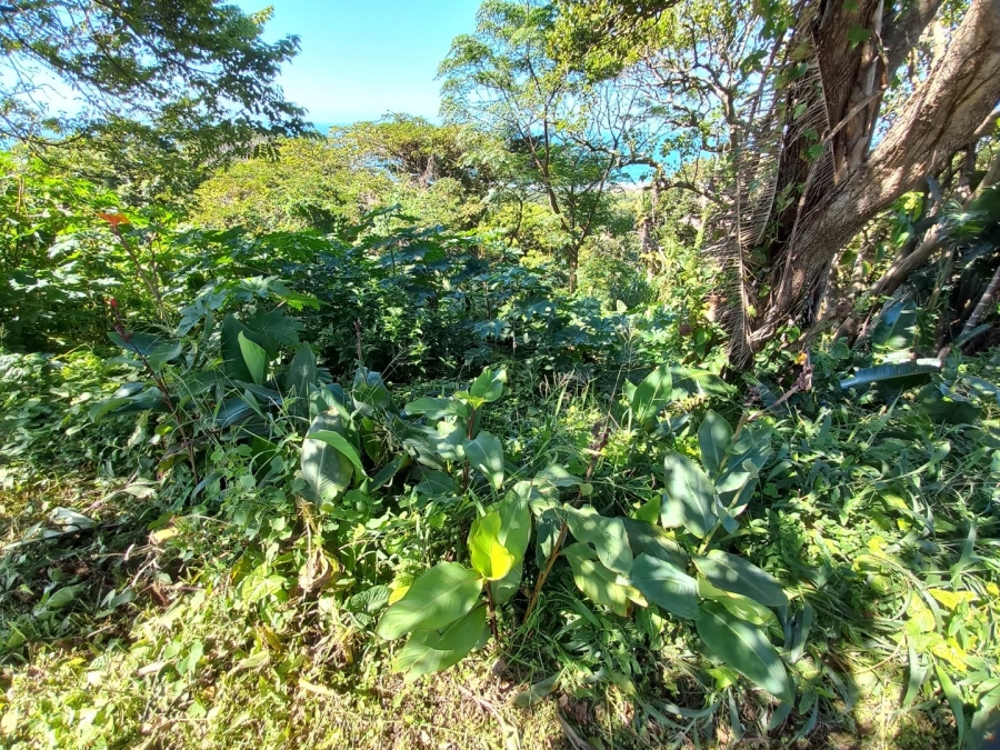 Commercial Property for Sale in Oslo Beach KwaZulu-Natal