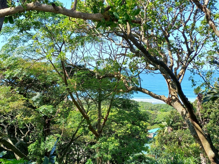 Commercial Property for Sale in Oslo Beach KwaZulu-Natal