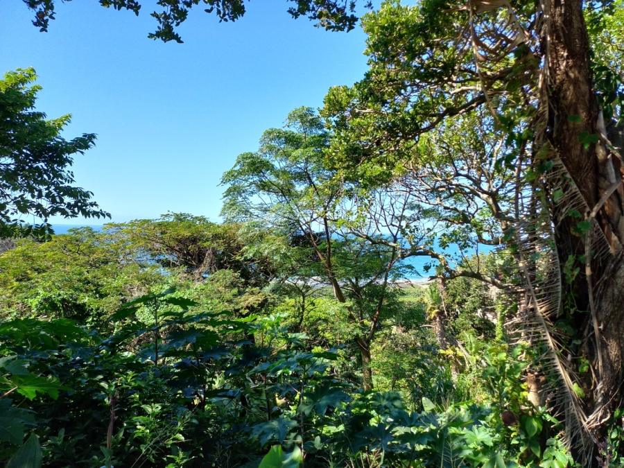 Commercial Property for Sale in Oslo Beach KwaZulu-Natal