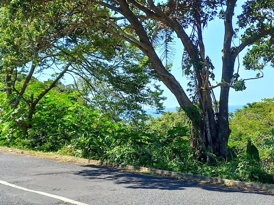 Commercial Property for Sale in Oslo Beach KwaZulu-Natal