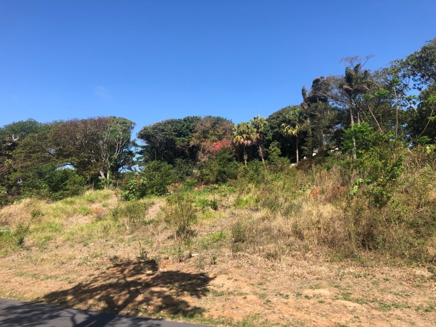 Commercial Property for Sale in Umtentweni KwaZulu-Natal